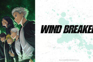 WIND BREAKER Season 1 Hindi Dubbed Episodes Download HD