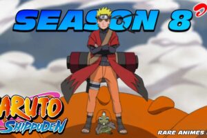 naruto shippuden season 8 in hindi rare animes