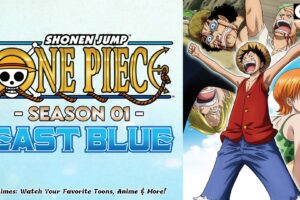 one piece season 01 in hindi rare animes