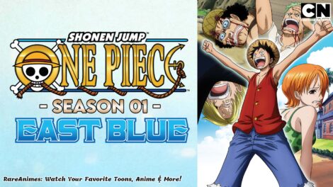 one piece season 01 in hindi rare animes